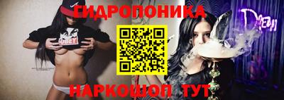 индика Рязань
