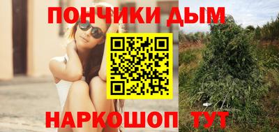 индика Рыбинск