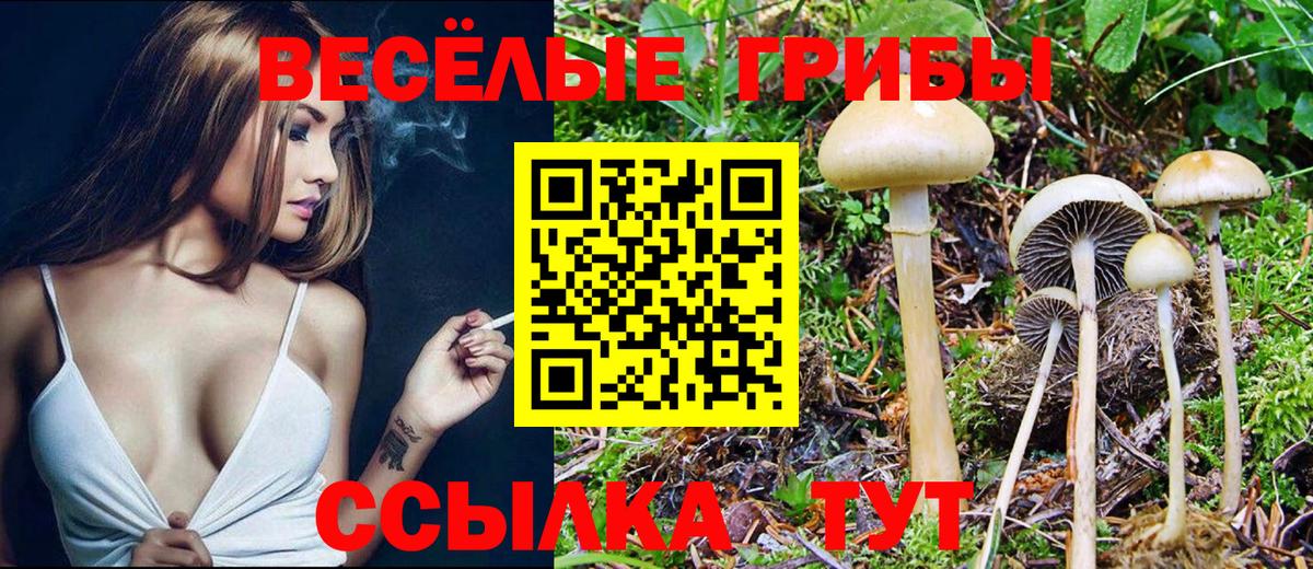 Саянск  Галлюциногенные грибы Magic Shrooms  Псилоцибиновые грибы Psilocybine cubensis  Вход с VPN 