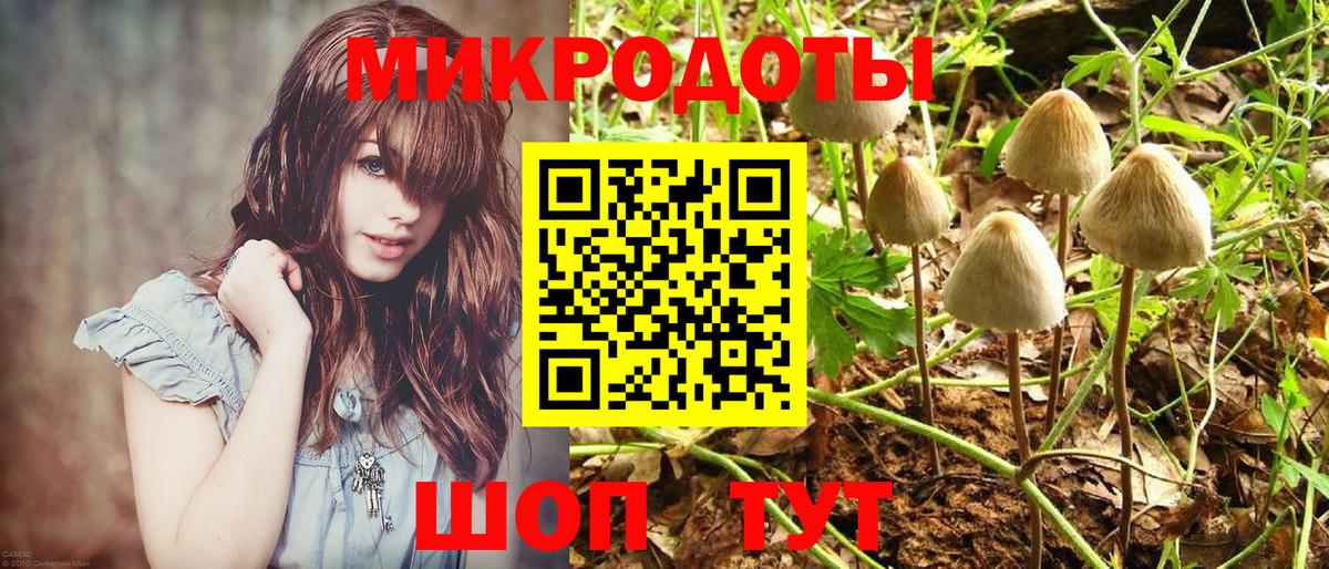 Псилоцибиновые грибы прущие грибы Саянск